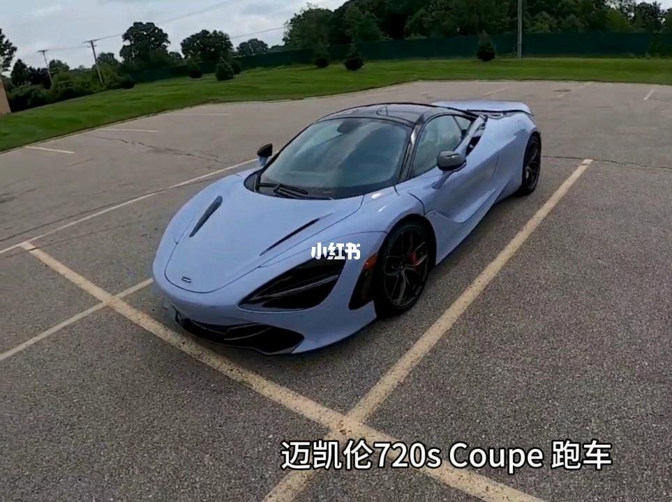 {捕魚機}(养一台迈凯伦720s一年多少钱)