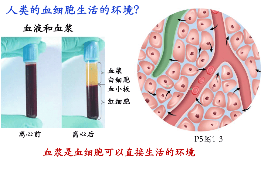细胞生活的环境（细胞生活的环境ppt）